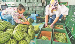 沧州吃瓜爆料视频大全集,视频大全集精彩瞬间回顾