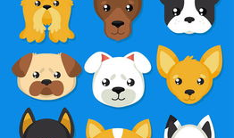 小狗动漫头像,小狗动漫头像带你走进温馨世界