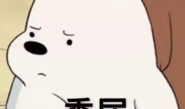 猪头吃瓜爆料图片表情包,趣味横生，笑料百出